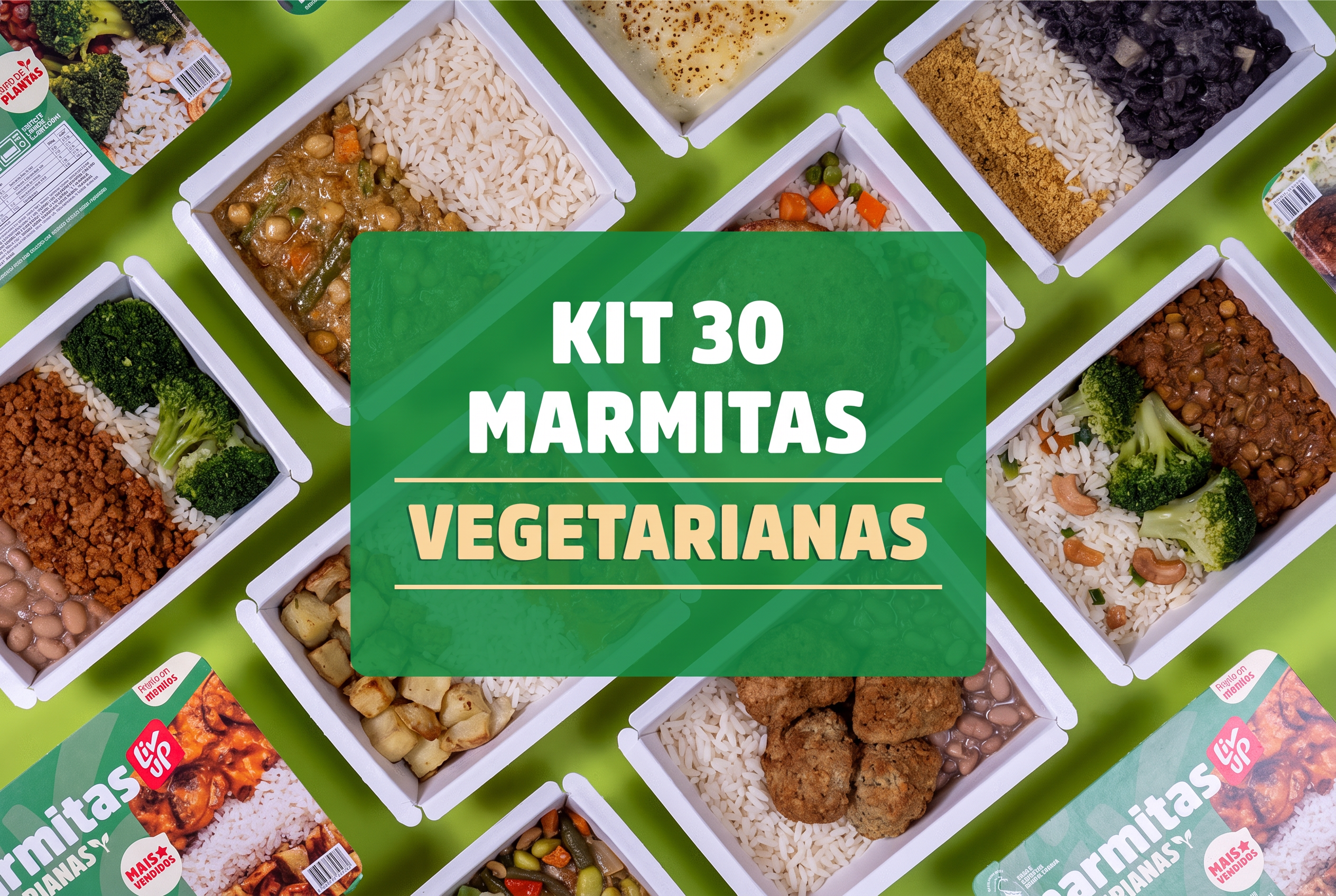 Kit 30 marmitas vegetarianas